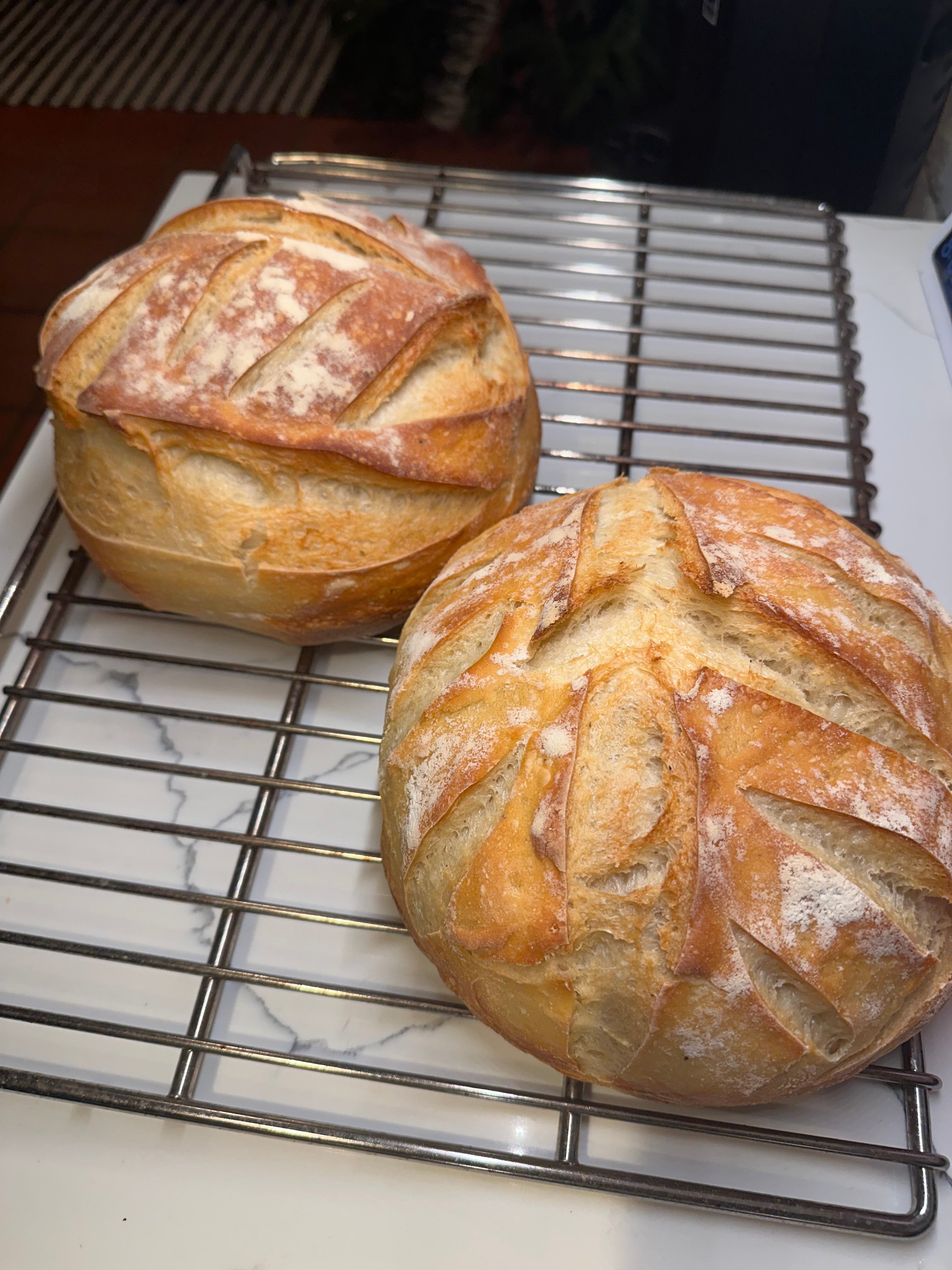 🥖 The Golden Crust Sourdough Boule