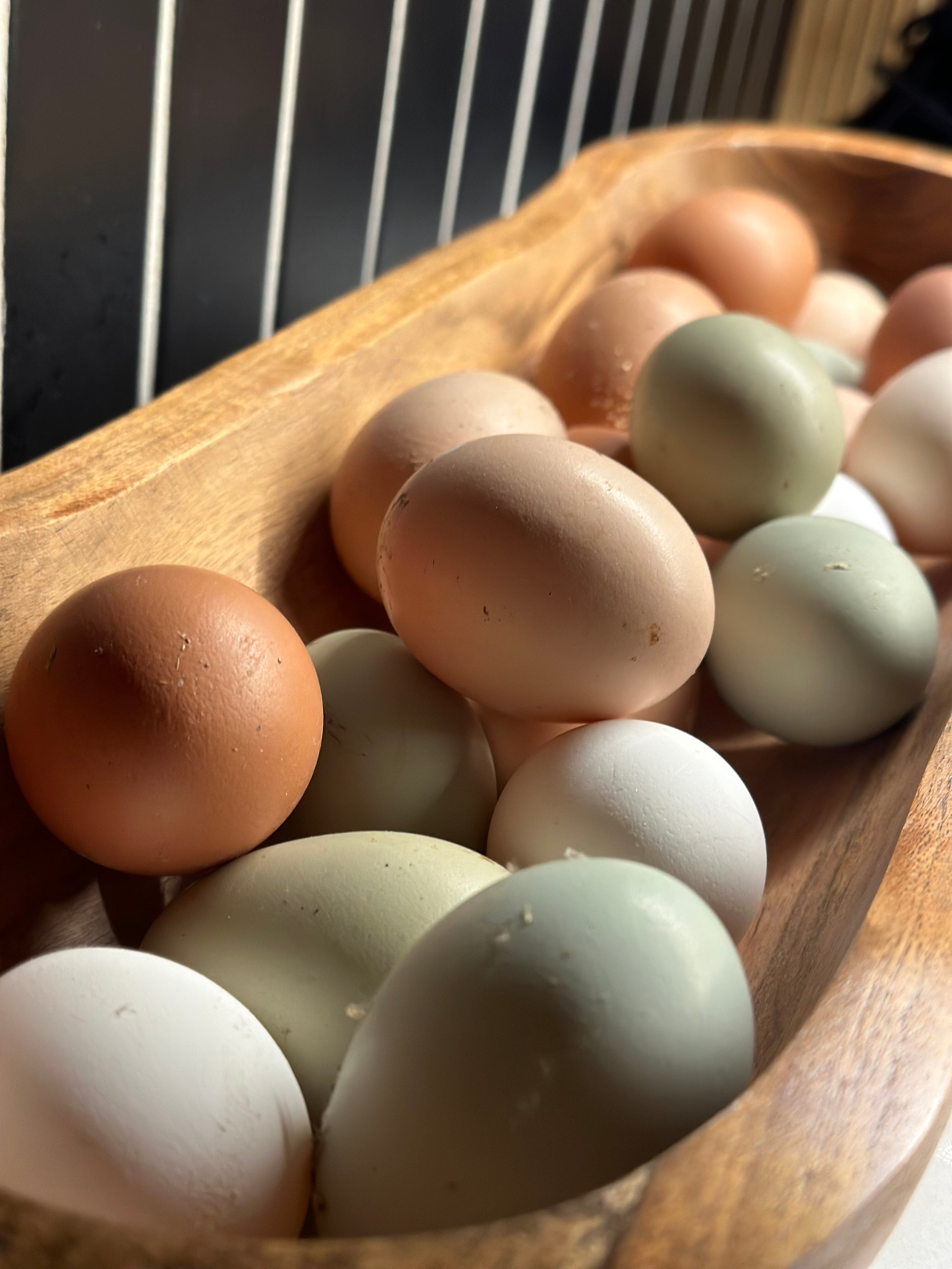 🌈 Rainbow Farm Fresh Eggs -1 Dozen