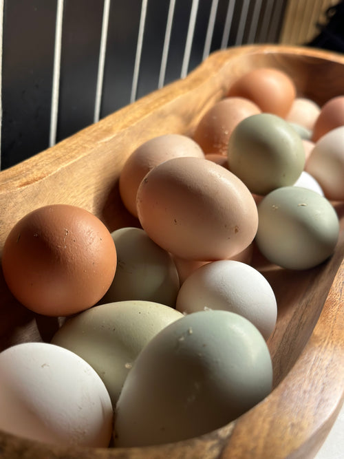 🌈 Rainbow Farm Fresh Eggs -1 Dozen