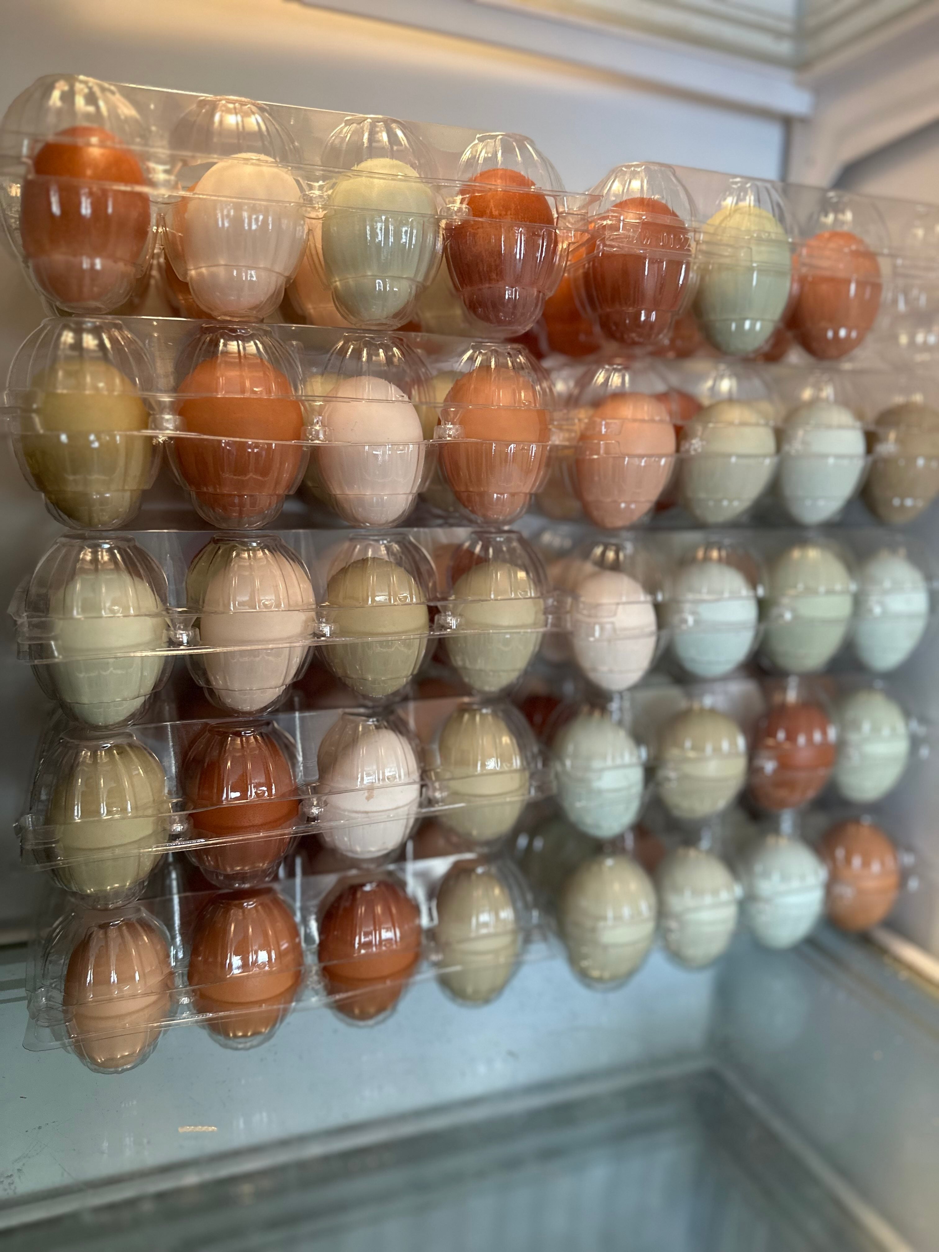 🌈 Rainbow Farm Fresh Eggs -1 Dozen