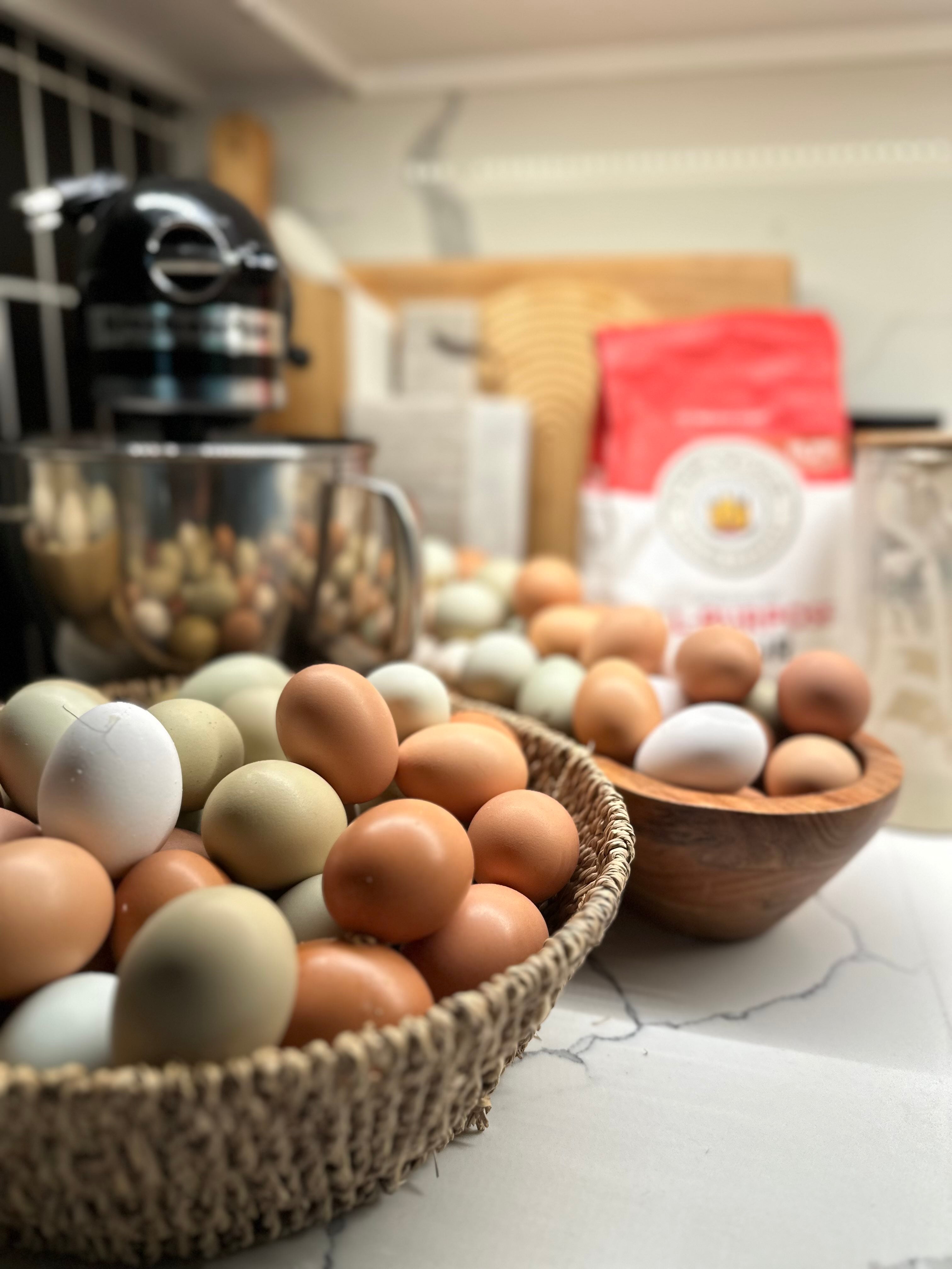 🌈 Rainbow Farm Fresh Eggs -1 Dozen