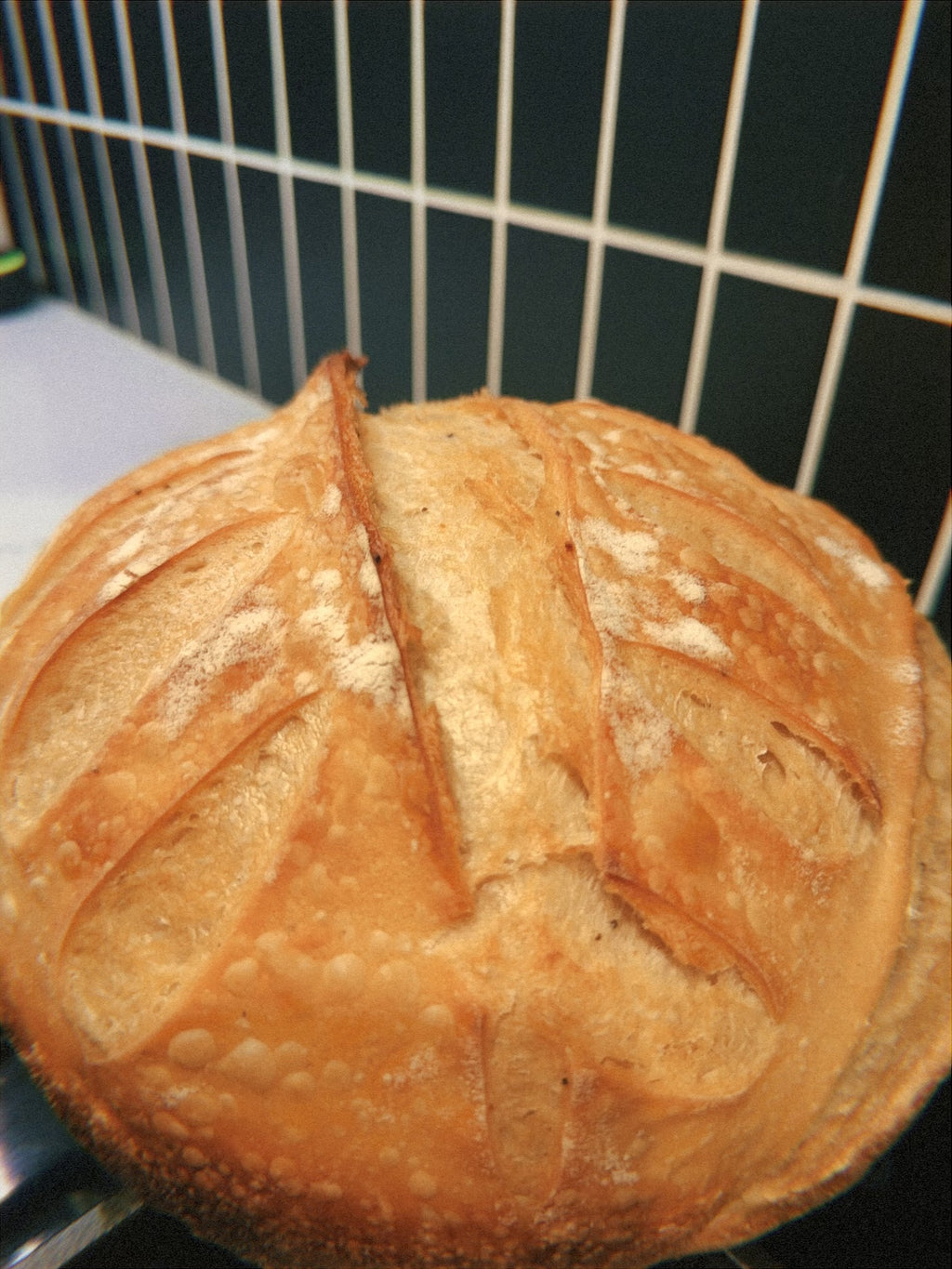 🥖 The Golden Crust Sourdough Boule