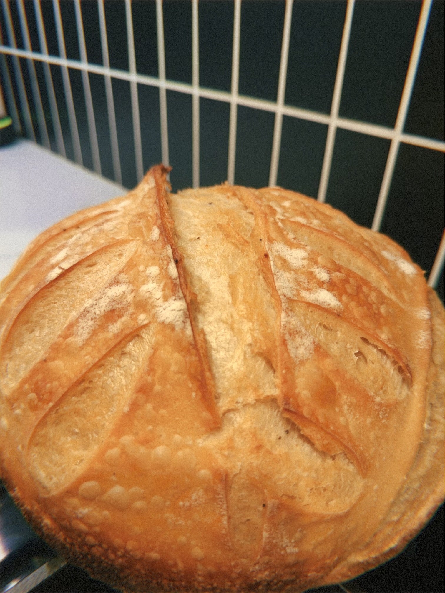 🥖 The Golden Crust Sourdough Boule